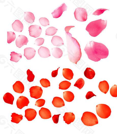 赢金配资 生益电子摘得首家“A拆A”，A股分拆上市空间多大